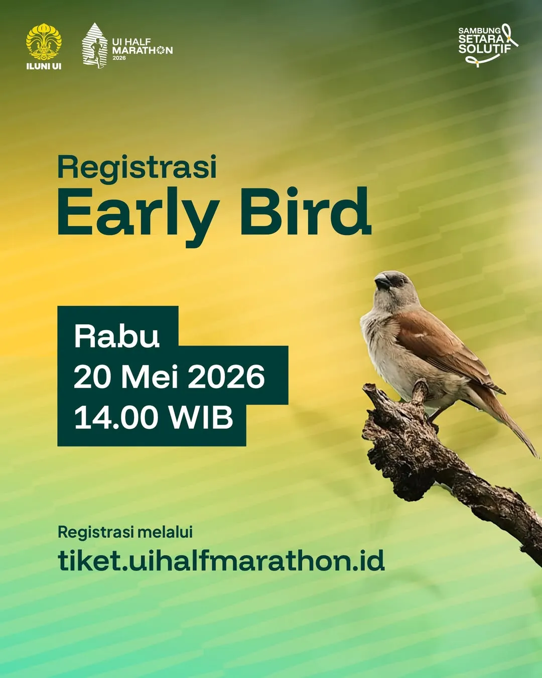 UI Half Marathon